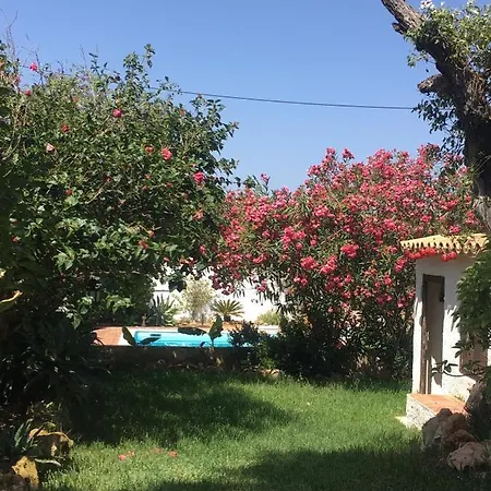 Lugar Andorinhas 펜션 *