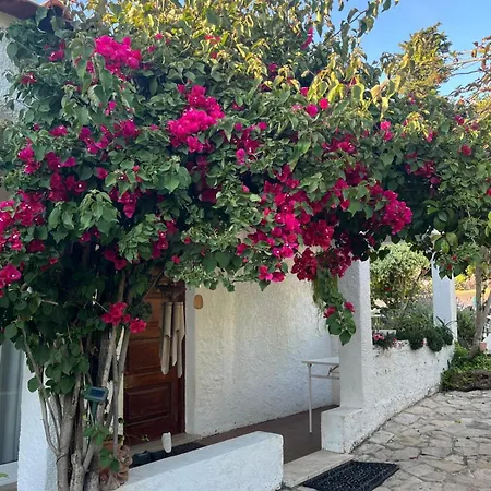 Σπίτι διακοπών Lugar Andorinhas