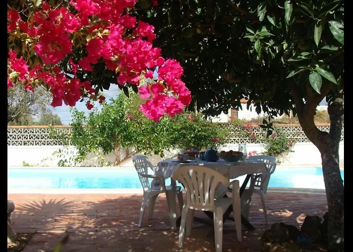 Lugar Andorinhas Nyaraló *