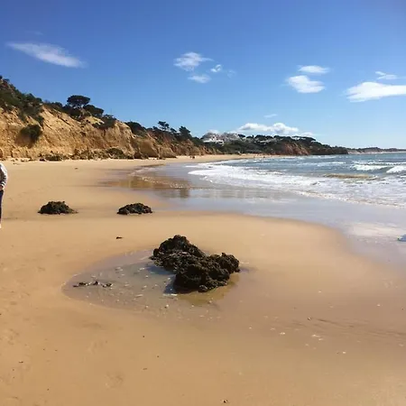 Lugar Andorinhas Casa de Férias