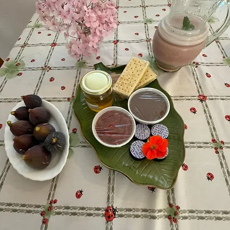 Lugar Andorinhas Casa vacanze